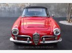 Thumbnail Photo 7 for 1965 Alfa Romeo Giulia